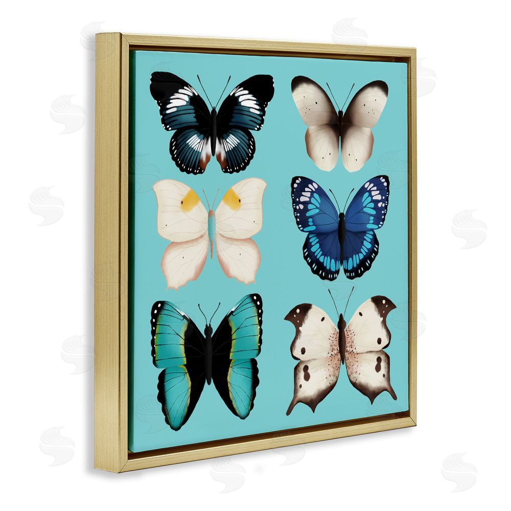 Metka Hiti Six Diverse Butterflies on Turquoise Gold Floating Frame Canvas Wall Art Print