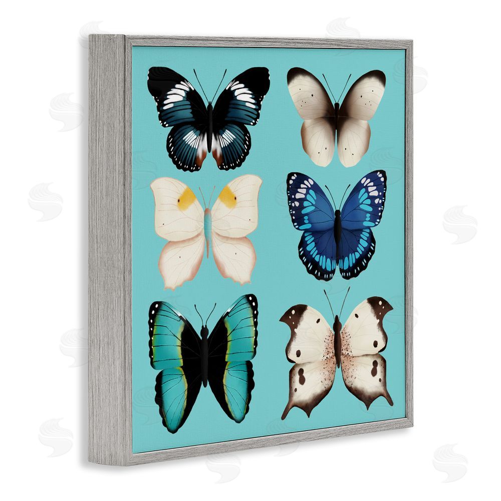 Metka Hiti Six Diverse Butterflies on Turquoise Gray Framed Giclee Wall Art Print