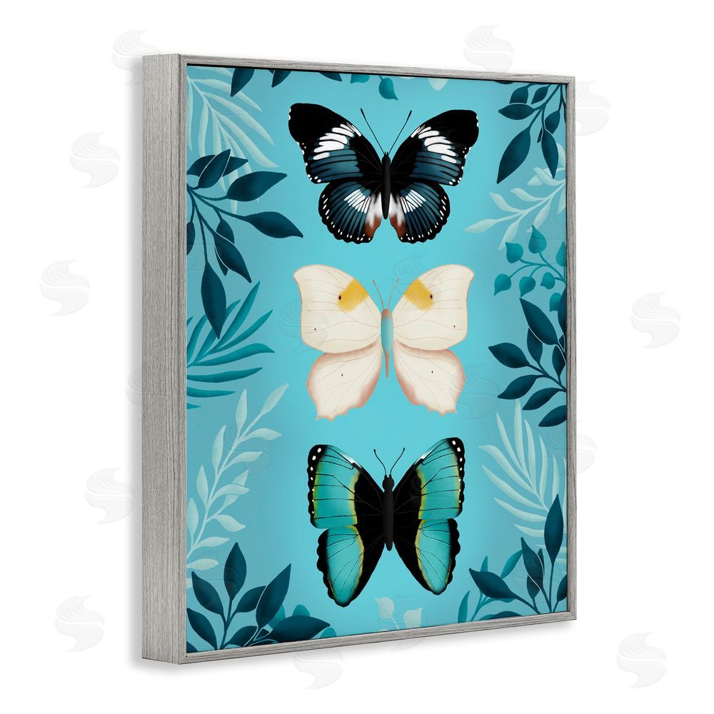 Metka Hiti Three Exotic Blue Butterflies Gray Framed Giclee Wall Art Print