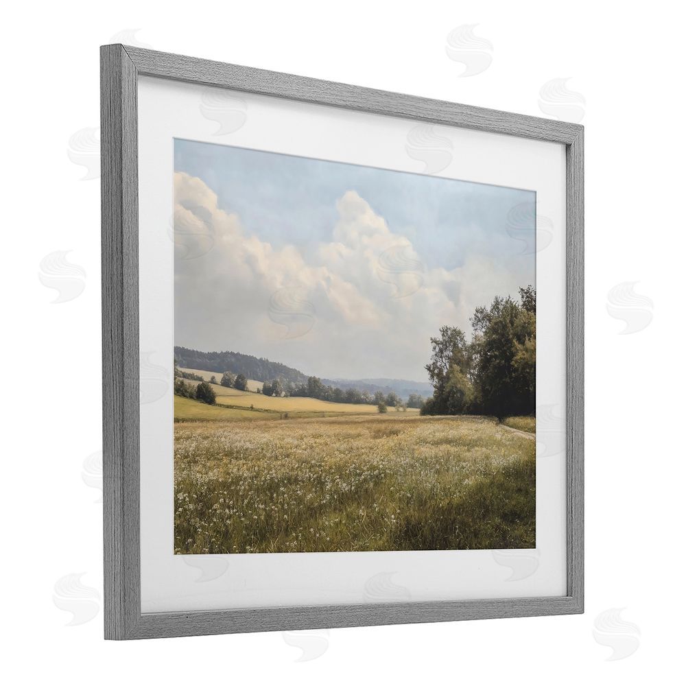 Franklyn Gregory Summer Landscape Cloudy Meadow Gray Framed Print Under Glass with White Mat Wall Art