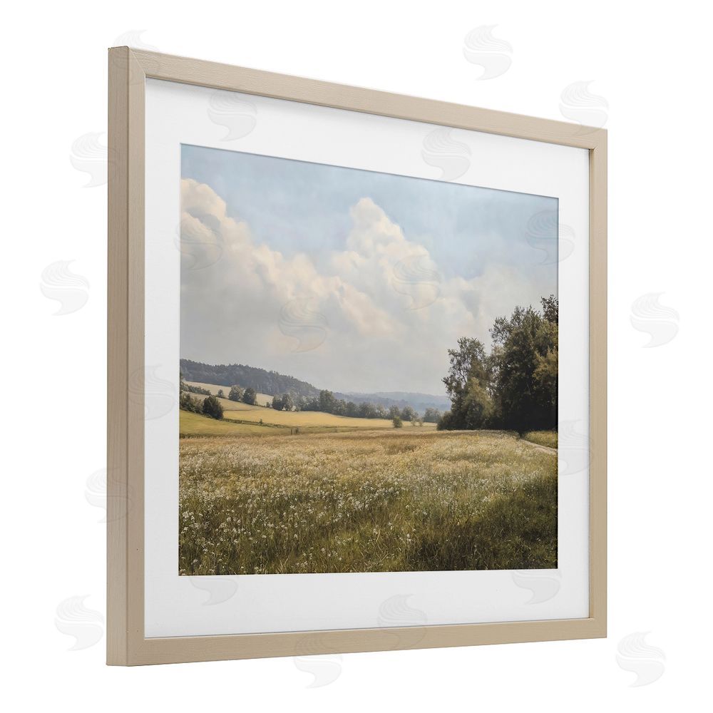 Franklyn Gregory Summer Landscape Cloudy Meadow Brown Framed Print Under Glass with White Mat Wall Art