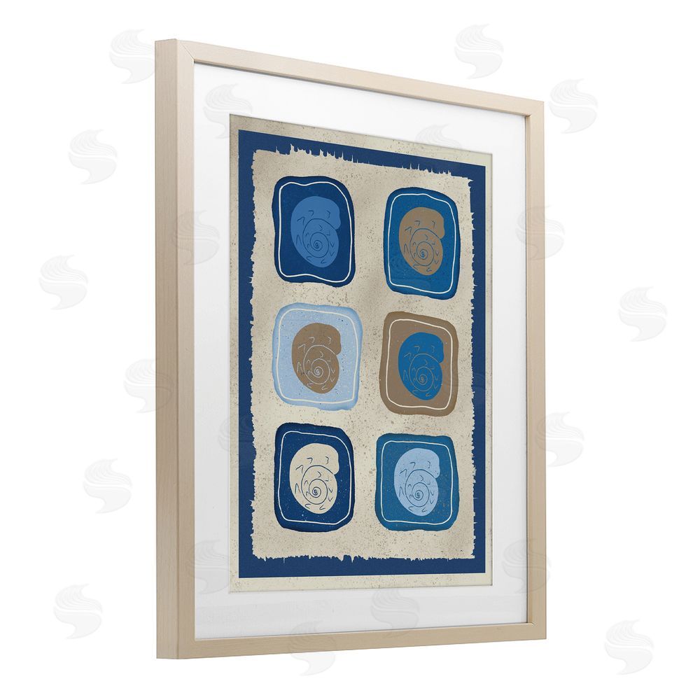 Julia Frost Blue Blocked Nautilus Brown Framed Print Under Glass Wall Art