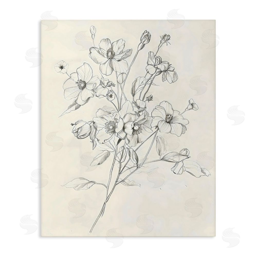 Creative Studio Wildflower Outline Study Stretched Canvas Wall Art Print