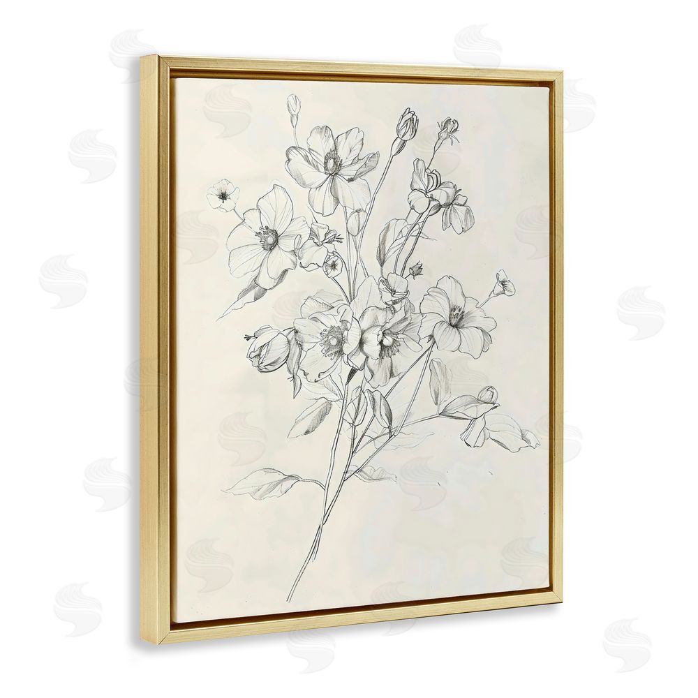 Creative Studio Wildflower Outline Study Gold Floating Framed Canvas Wall Art Print