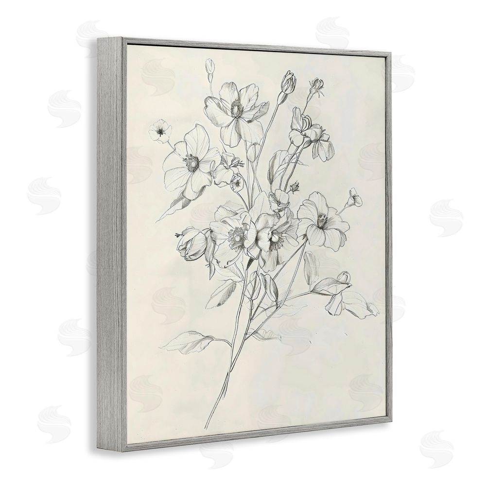 Creative Studio Wildflower Outline Study Gray Framed Giclee Wall Art Print
