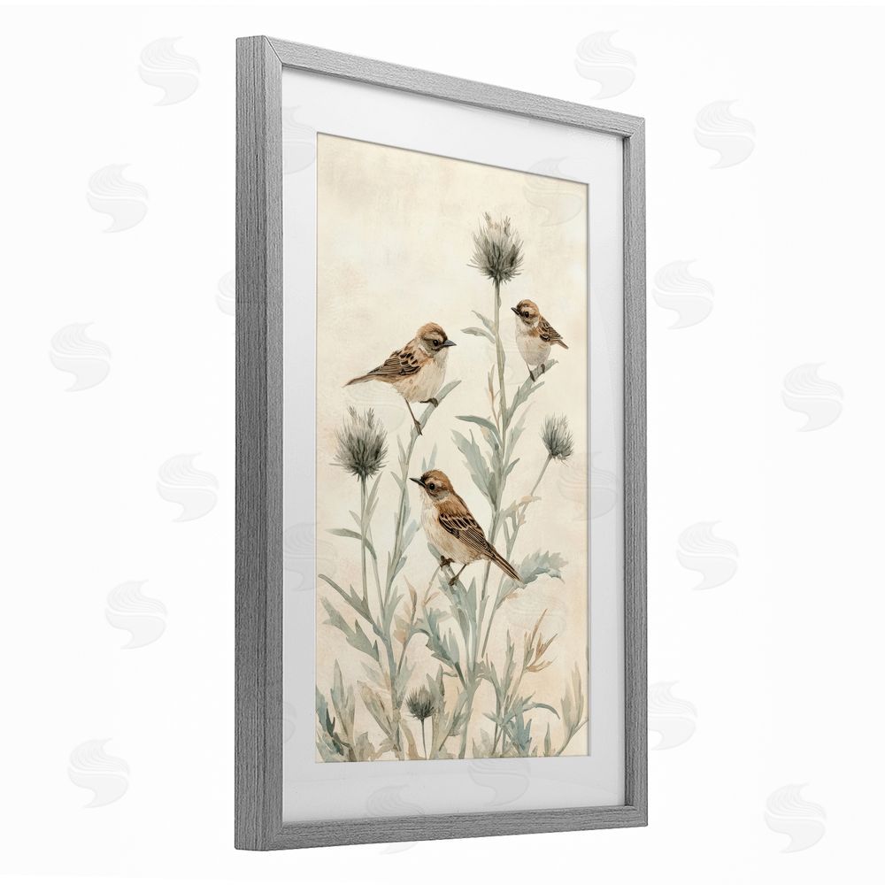 Petal Prints Design Sparrows on Thistle Stems Gray Framed Print Under Glass with White Mat Wall Art