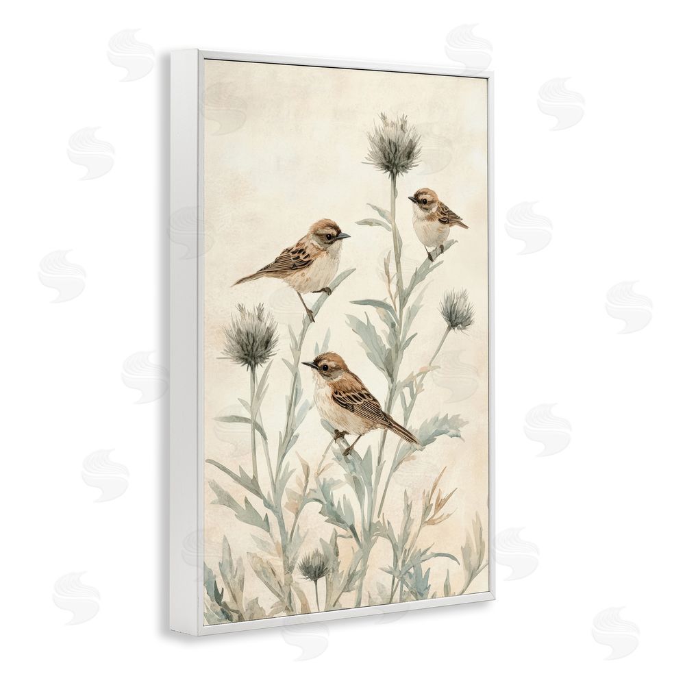 Petal Prints Design Sparrows on Thistle Stems White Framed Giclee Wall Art Print
