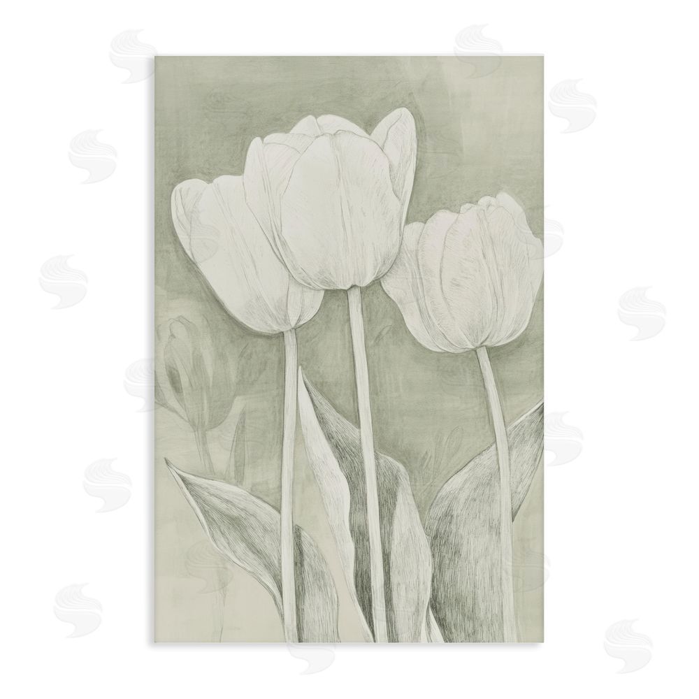 Petal Prints Design Faded Tulips Pencil Sketch Stretched Canvas Wall Art