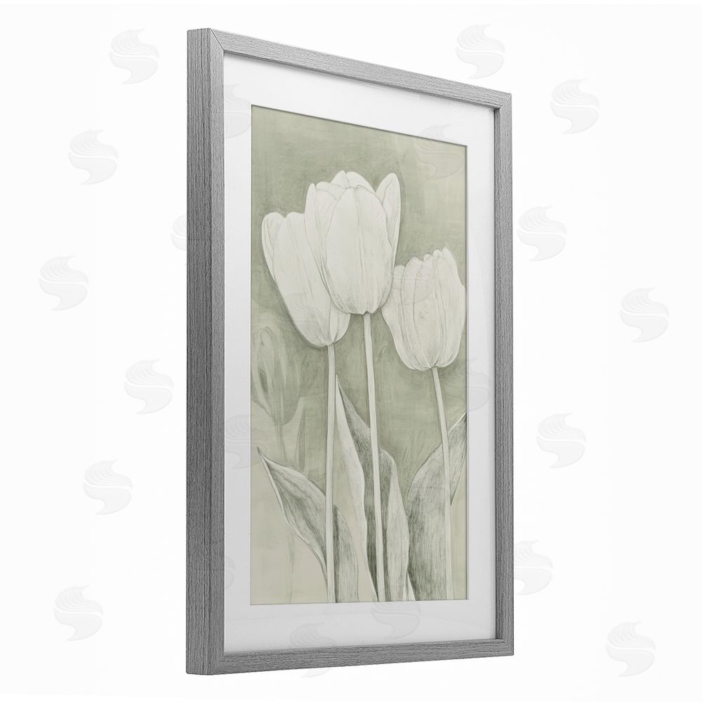 Petal Prints Design Faded Tulips Pencil Sketch Gray Framed Print Under Glass Wall Art