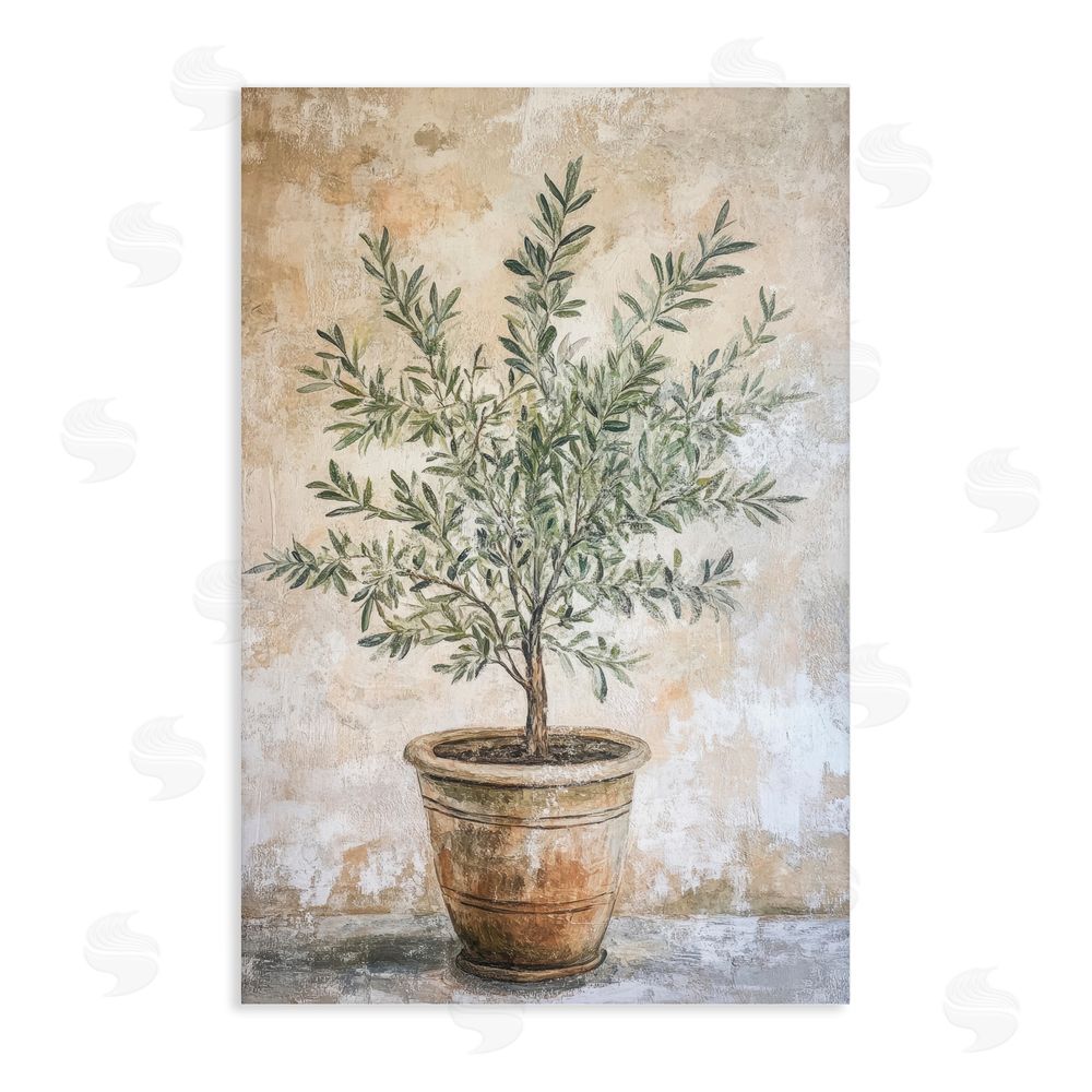 Petal Prints Design Mediterranean Potted Olive Stretched Canvas Wall Art