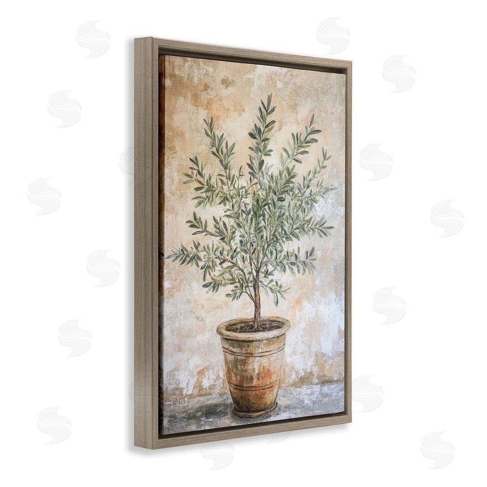 Petal Prints Design Mediterranean Potted Olive Brown Floating Framed Canvas Wall Art