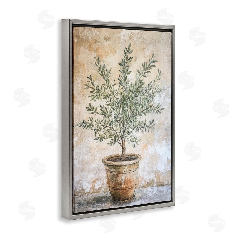 Petal Prints Design Mediterranean Potted Olive Gray Floating Framed Canvas Wall Art
