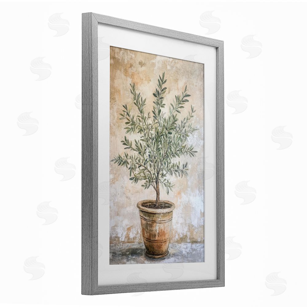 Petal Prints Design Mediterranean Potted Olive Gray Framed Print Under Glass Wall Art