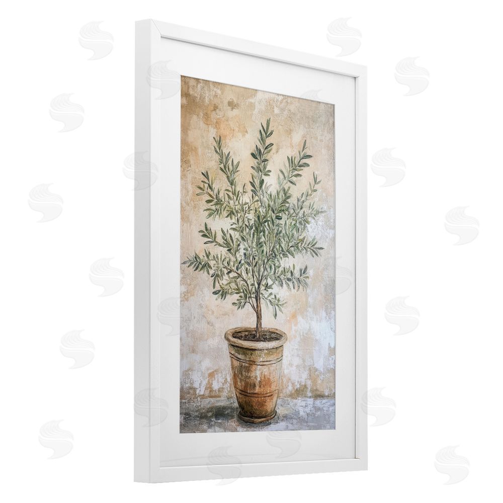 Petal Prints Design Mediterranean Potted Olive White Framed Print Under Glass Wall Art