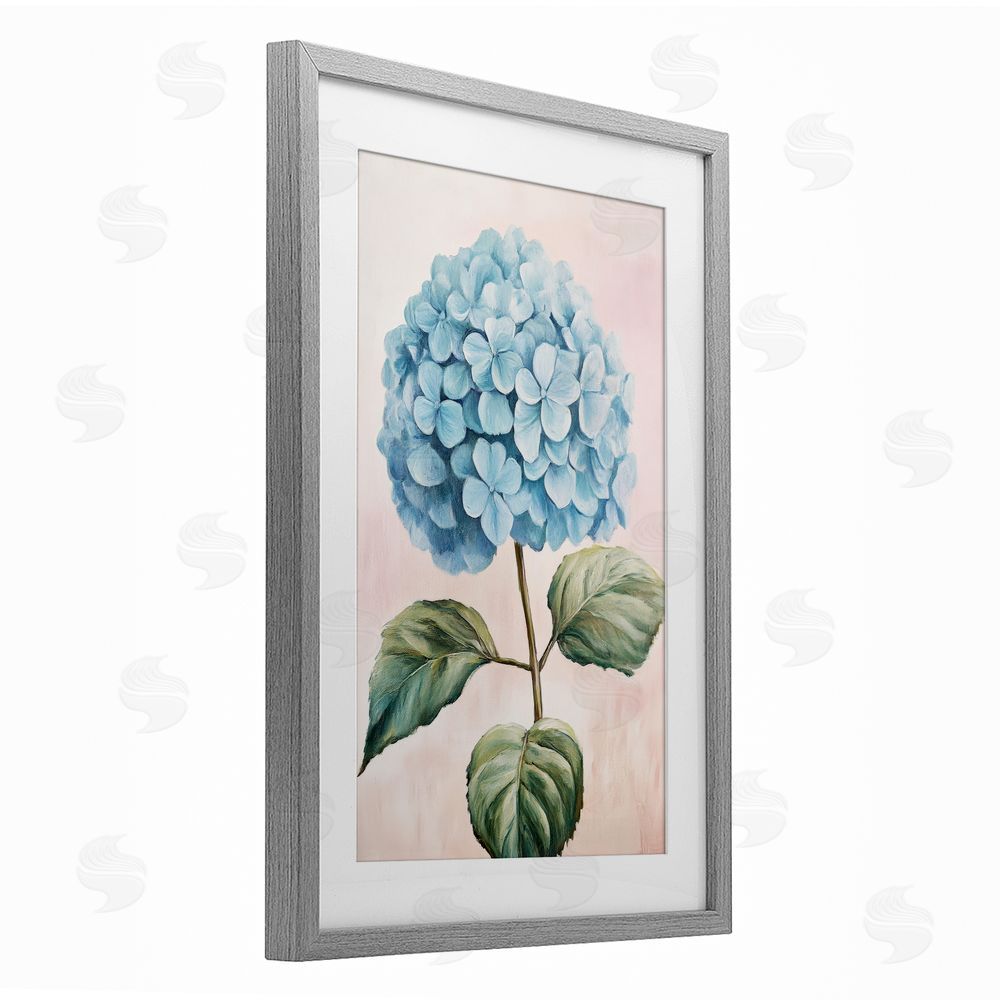 Petal Prints Design Delicate Baby Blue Hydrangea Gray Framed Print Under Glass Wall Art