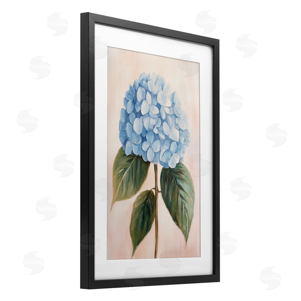 Petal Prints Design Baby Blue Hydrangea Black Framed Print Under Glass with Matting Wall Art