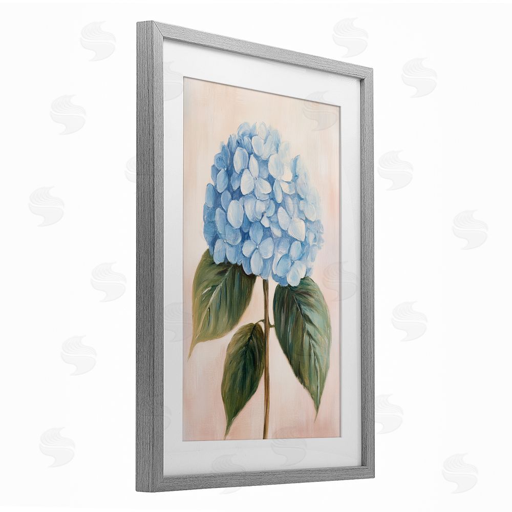 Petal Prints Design Baby Blue Hydrangea Gray Framed Print Under Glass with Matting Wall Art