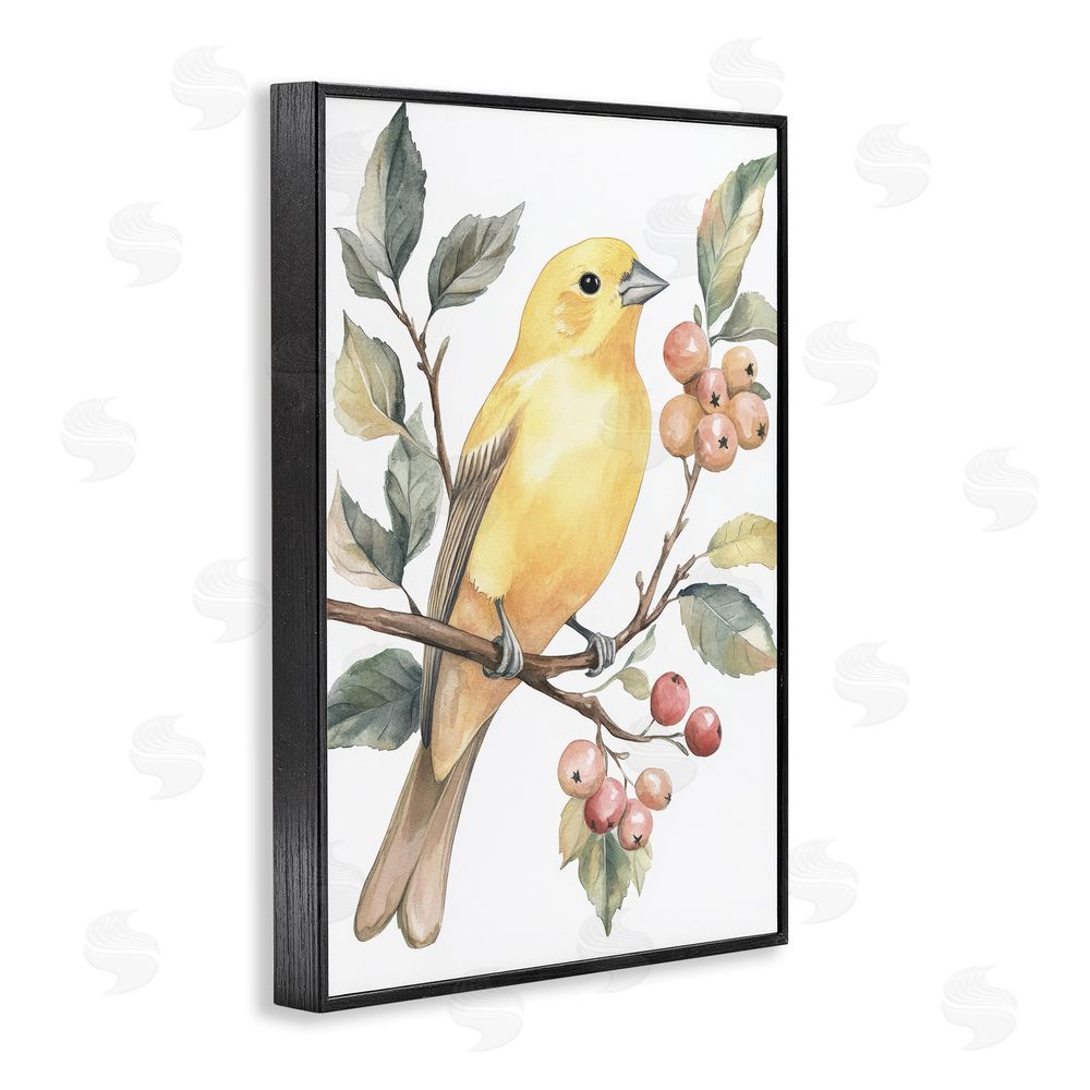 Petal Prints Design Sun Lit Bird on Branch Black Framed Giclee Wall Art Print