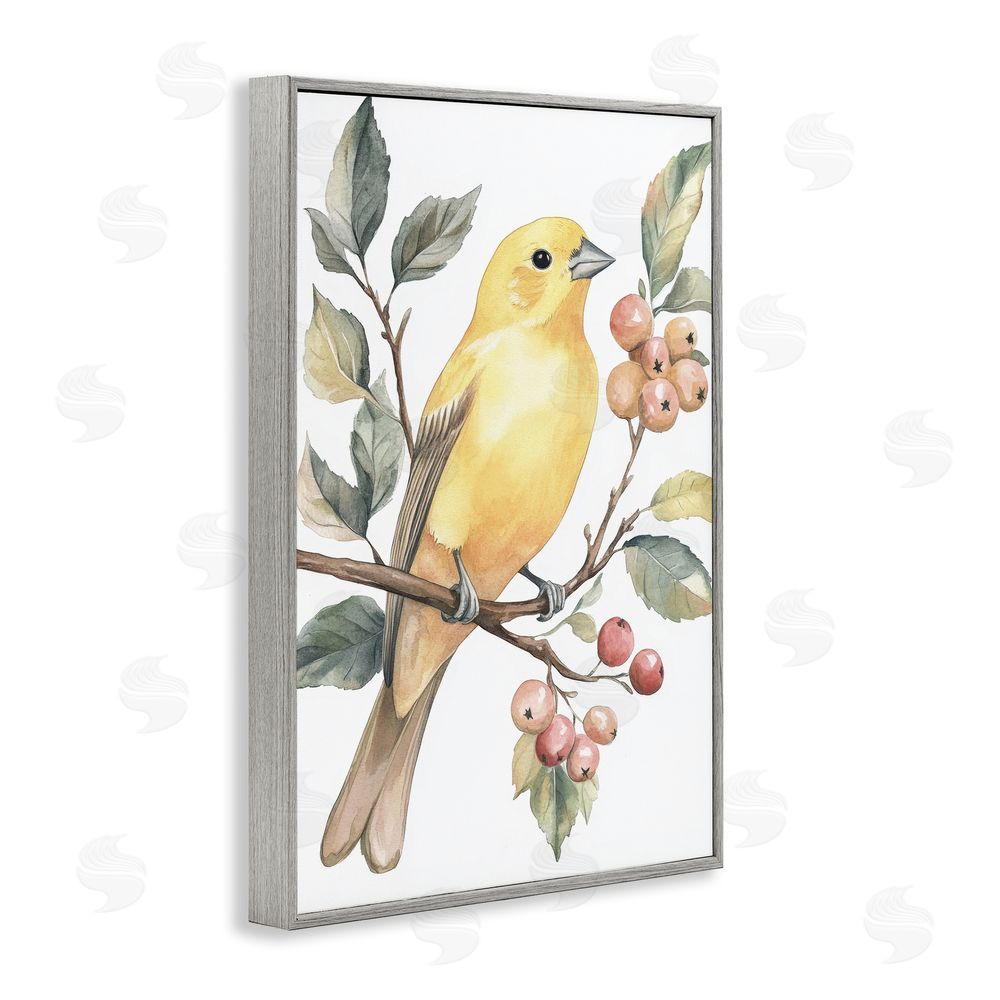 Petal Prints Design Sun Lit Bird on Branch Gray Framed Giclee Wall Art Print