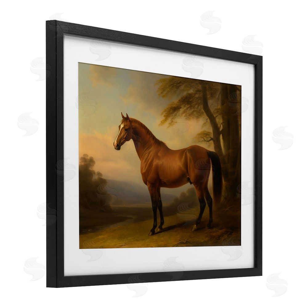 Creative Studio Vintage Chestnut Horse Black Framed Print Under Glass with White Mat Wall Art