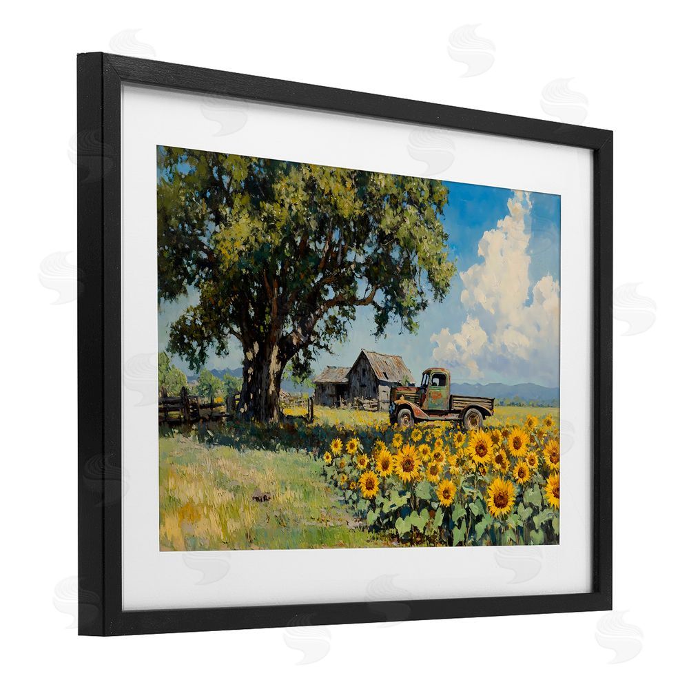 Franklyn Gregory Sunflower Pickup by Old Barn Black Framed Print Under Glass with White Mat Wall Art