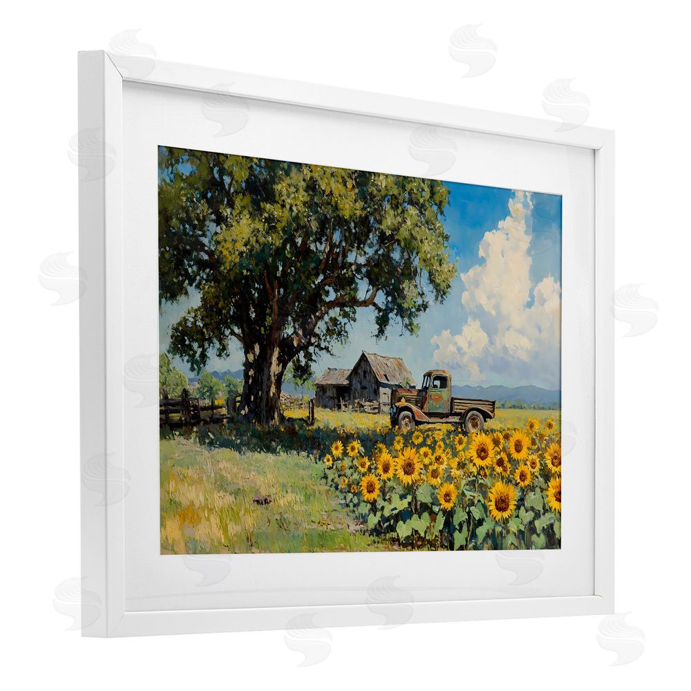 Franklyn Gregory Sunflower Pickup by Old Barn White Framed Print Under Glass with White Mat Wall Art