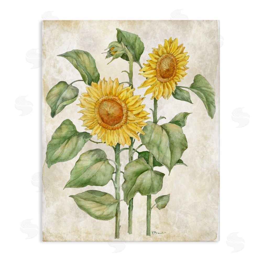 Paul Brent Floral Journal Vintage Sunflower Stretched Canvas Wall Art