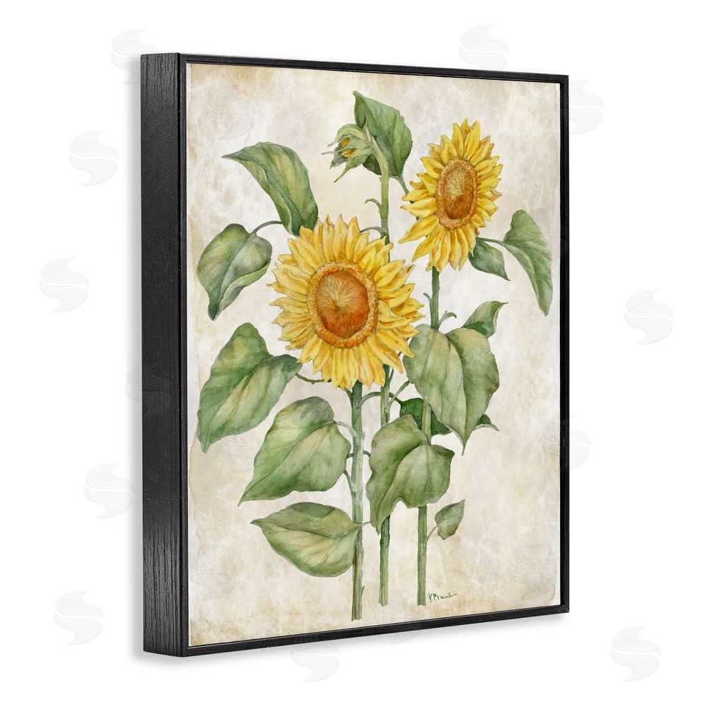 Paul Brent Floral Journal Vintage Sunflower Black Framed Giclee Wall Art