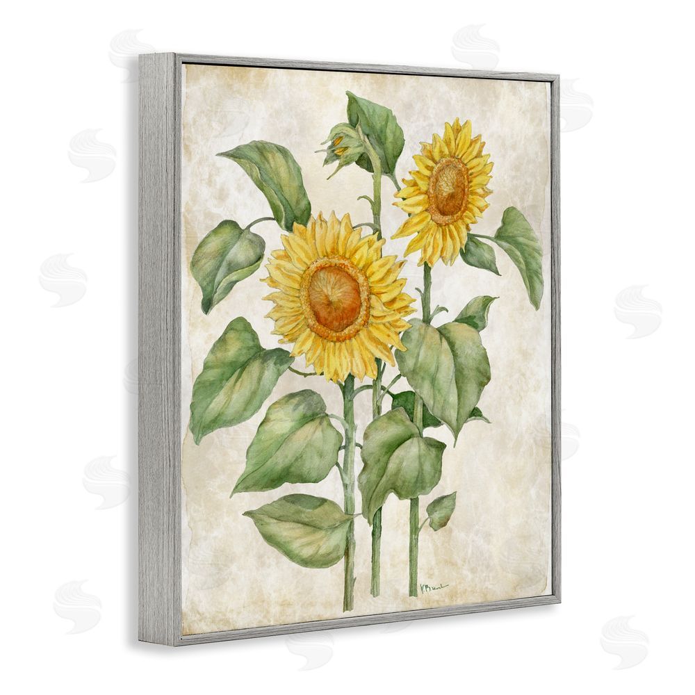 Paul Brent Floral Journal Vintage Sunflower Gray Framed Giclee Wall Art