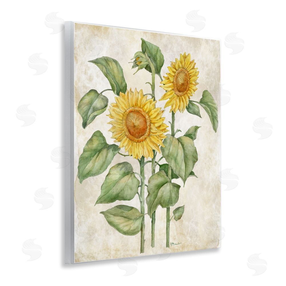Paul Brent Floral Journal Vintage Sunflower Wall Plaque Home Decor Art Print