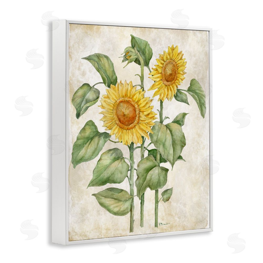 Paul Brent Floral Journal Vintage Sunflower White Framed Giclee Wall Art
