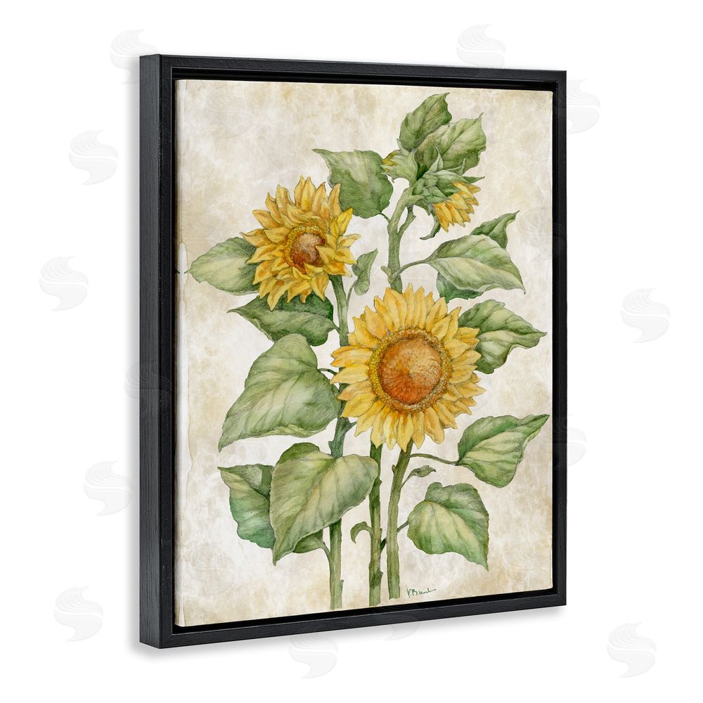 Paul Brent Floral Journal Sunflower Black Floating Framed Canvas Wall Art