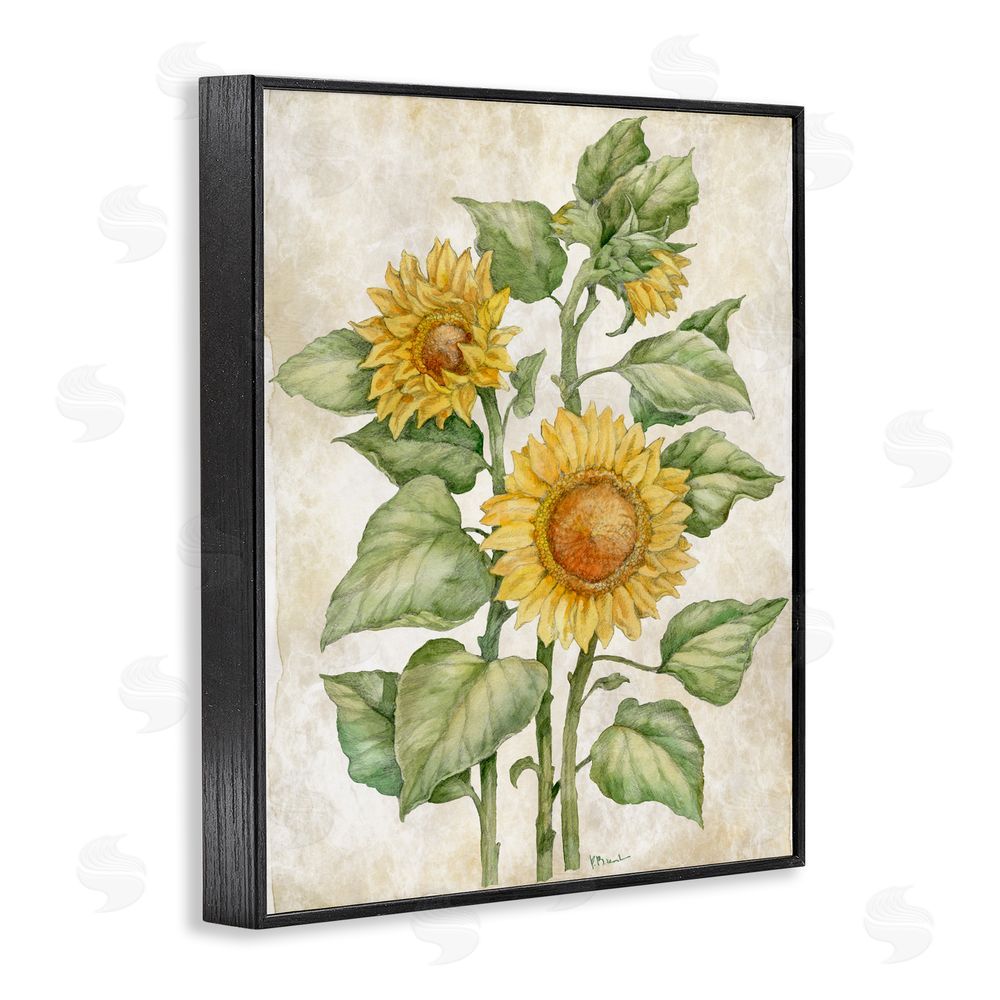 Paul Brent Floral Journal Sunflower Black Framed Giclee Wall Art