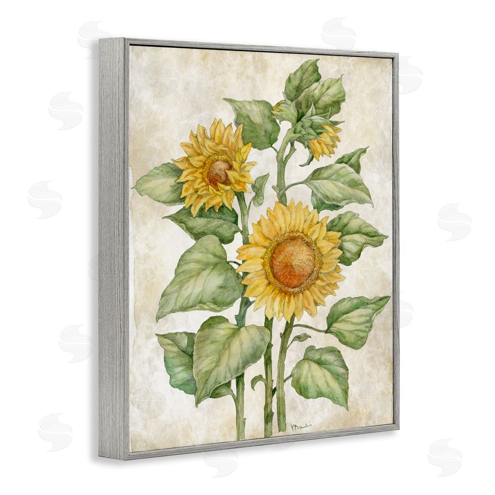 Paul Brent Floral Journal Sunflower Gray Framed Giclee Wall Art