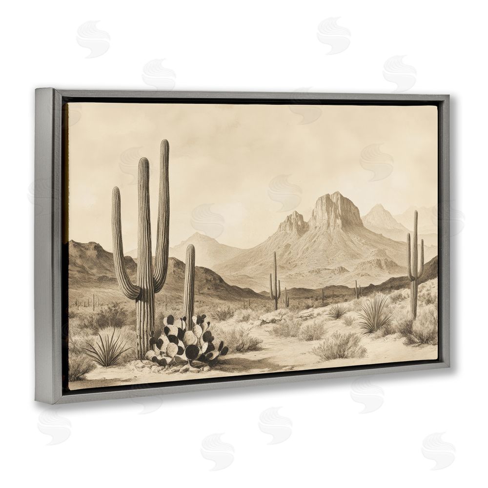 Petal Prints Design Arizona Desert Vista Gray Floating Frame Stretched Canvas Wall Art Print