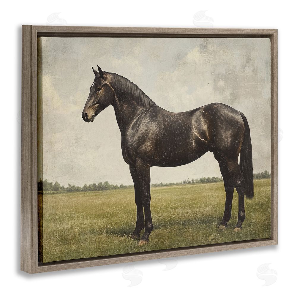 Petal Prints Design Espresso Horse in Pastoral Field Brown Floating Framed Canvas Wall Art