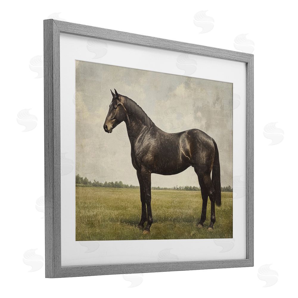 Petal Prints Design Espresso Horse in Pastoral Field Gray Framed Print Under Glass Wall Art