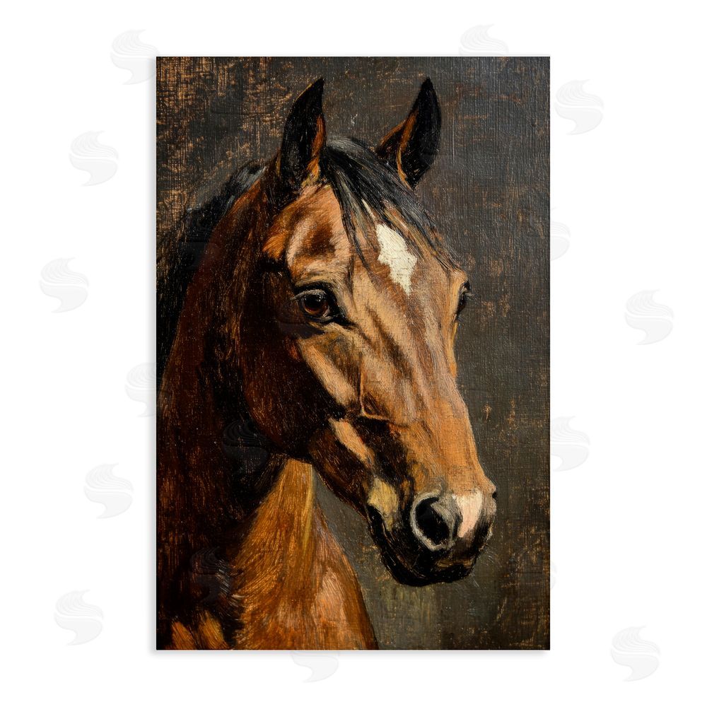 Petal Prints Design Horse Portrait Study Stretched Canvas Wall Art