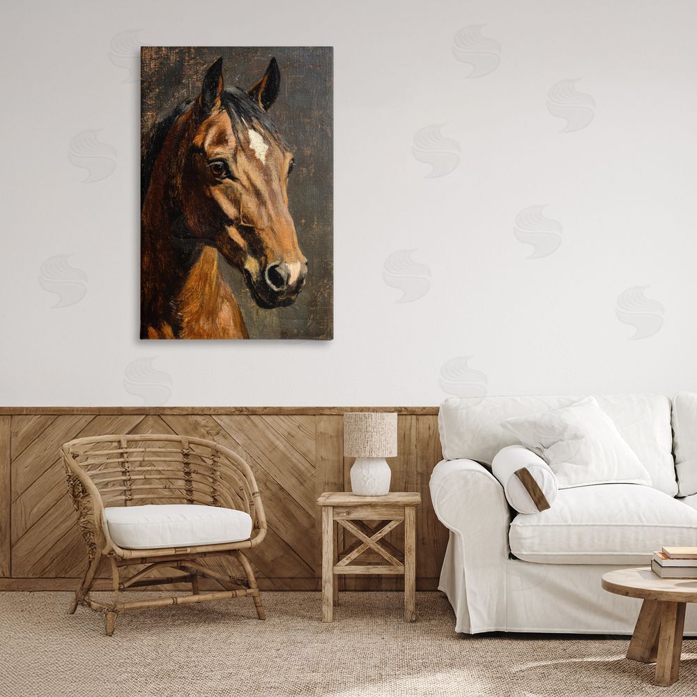 Petal Prints Design Horse Portrait Study Stretched Canvas Wall Art in Room