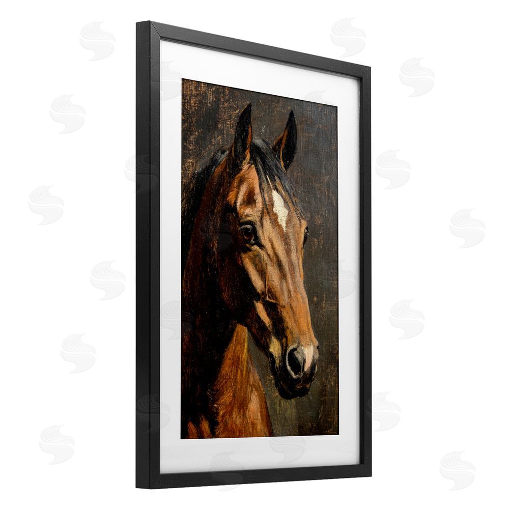 Petal Prints Design Horse Portrait Study Black Framed Print Under Glass Wall Art