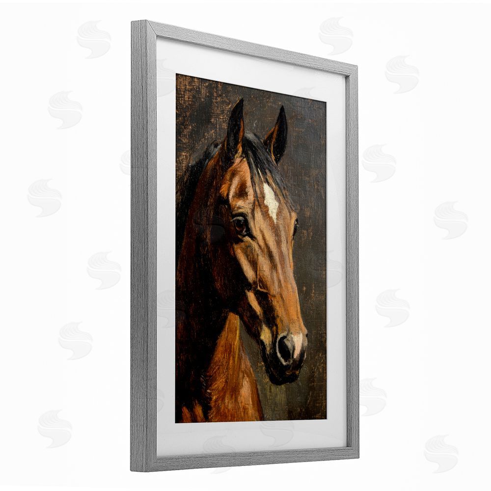 Petal Prints Design Horse Portrait Study Gray Framed Print Under Glass Wall Art