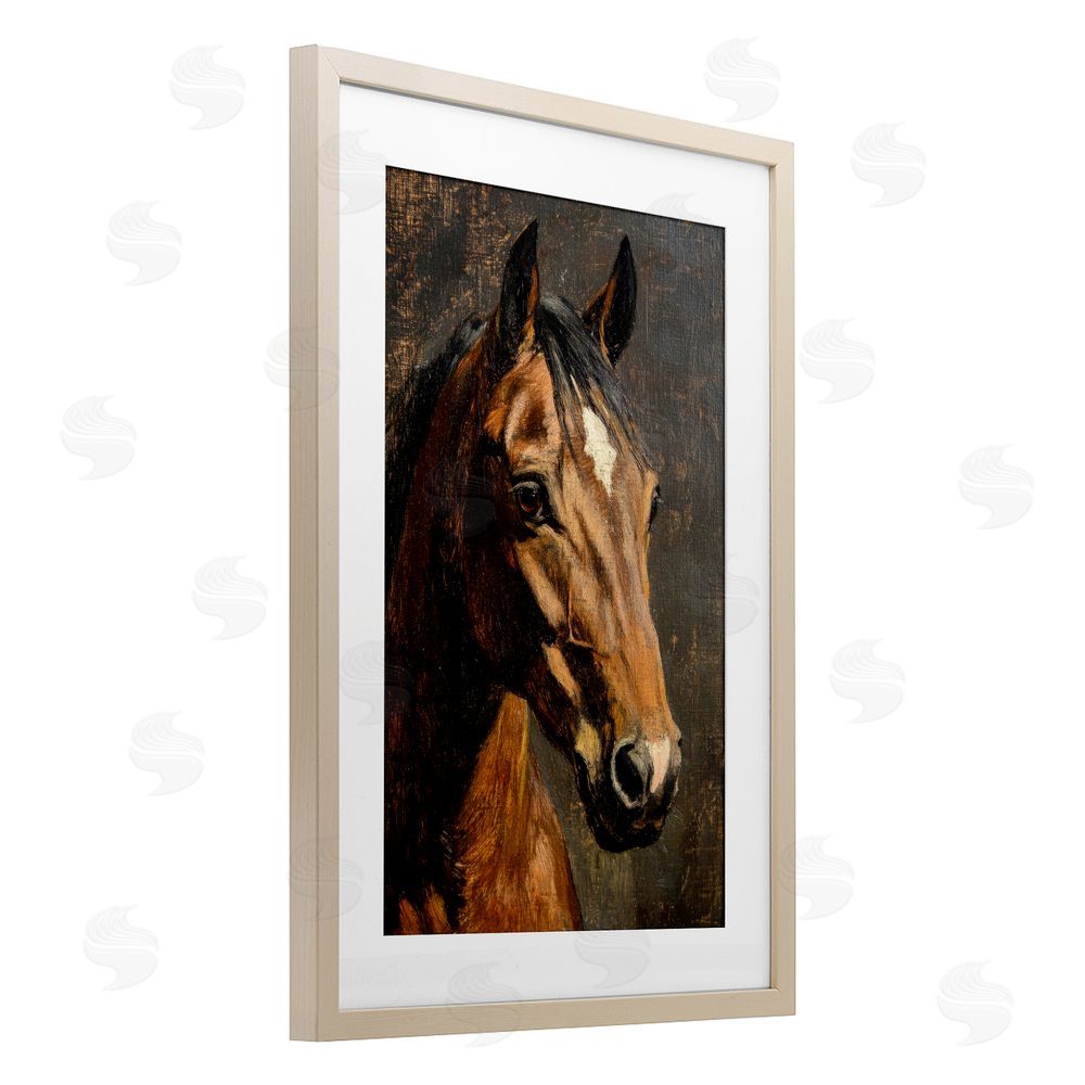 Petal Prints Design Horse Portrait Study Brown Framed Print Under Glass Wall Art