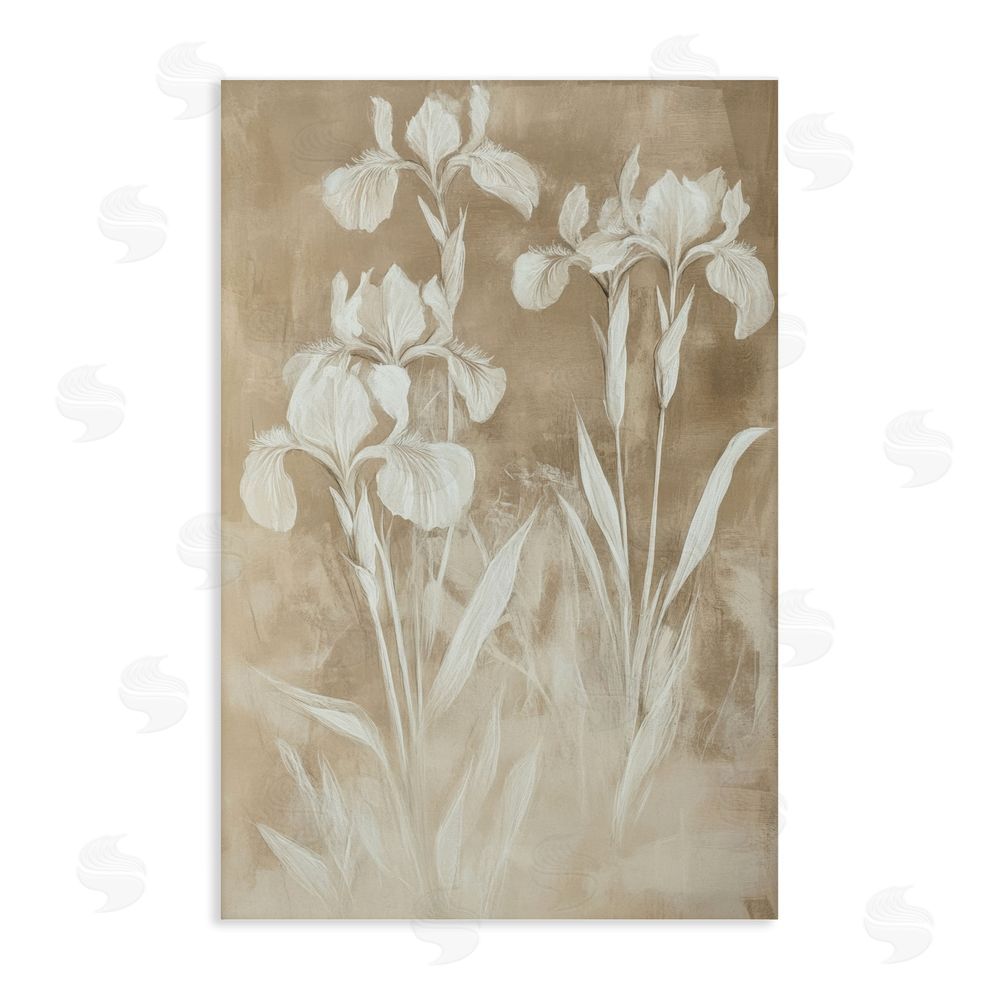 Petal Prints Design Neutral Iris Botanical Study Stretched Canvas Wall Art
