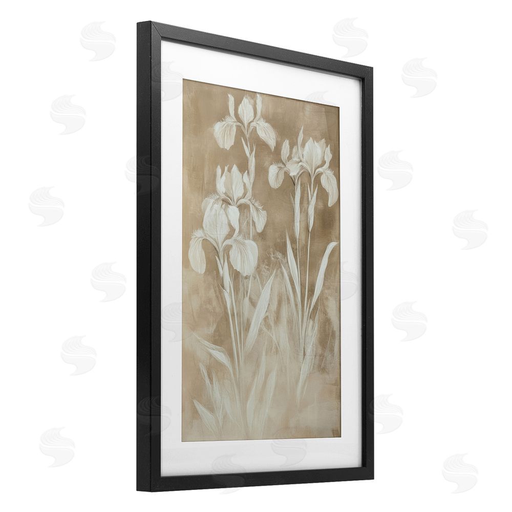 Petal Prints Design Neutral Iris Botanical Study Black Framed Print Under Glass Wall Art