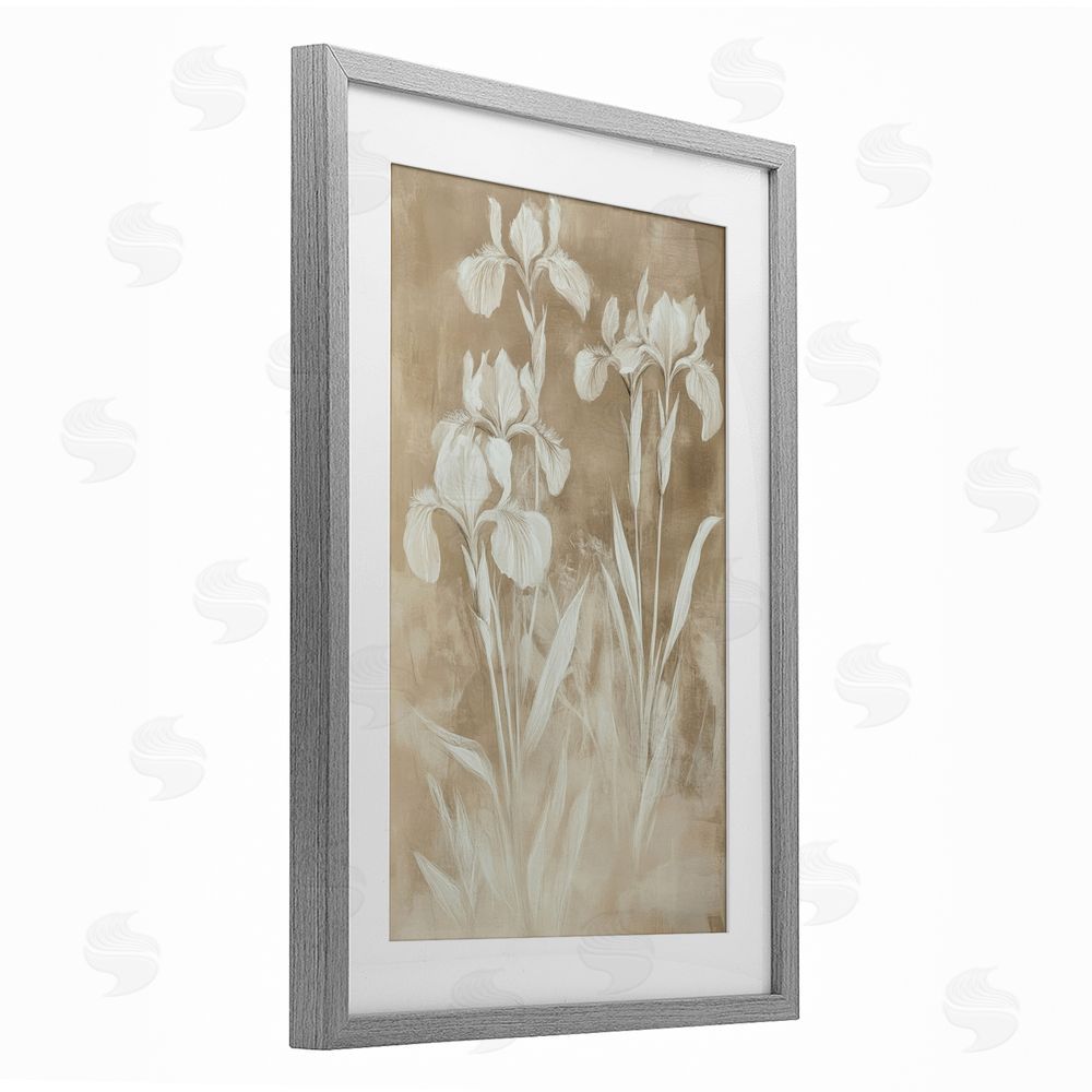 Petal Prints Design Neutral Iris Botanical Study Gray Framed Print Under Glass Wall Art