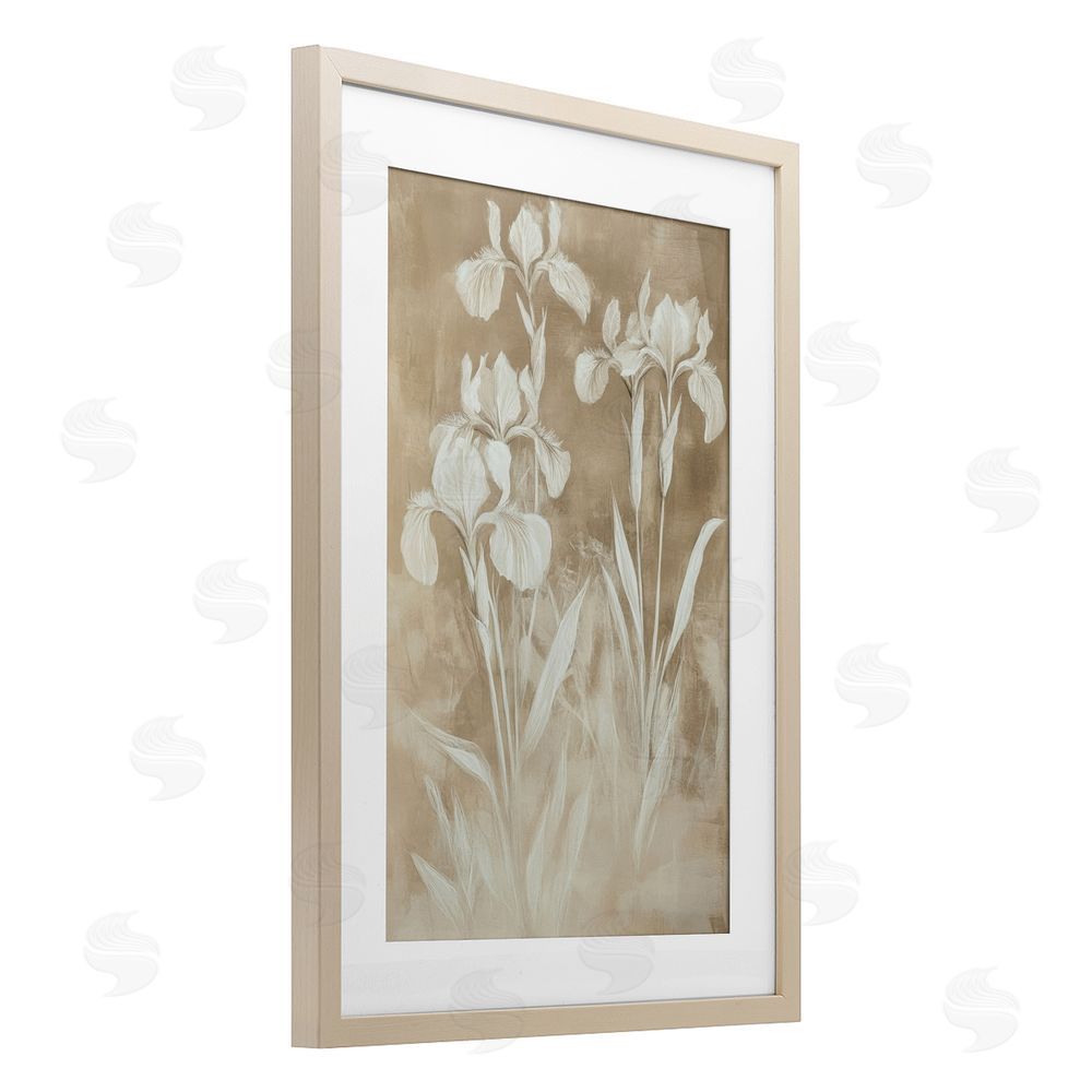 Petal Prints Design Neutral Iris Botanical Study Brown Framed Print Under Glass Wall Art