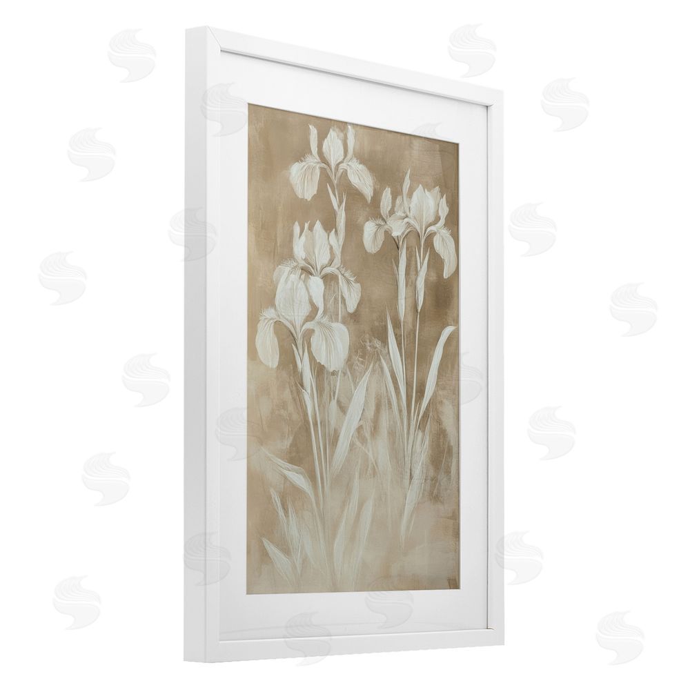 Petal Prints Design Neutral Iris Botanical Study White Framed Print Under Glass Wall Art