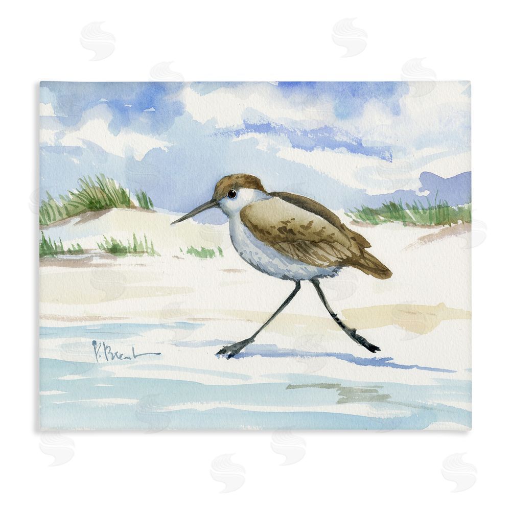 Paul Brent Inlet Beach Sandpiper Running Stretched Canvas Wall Art