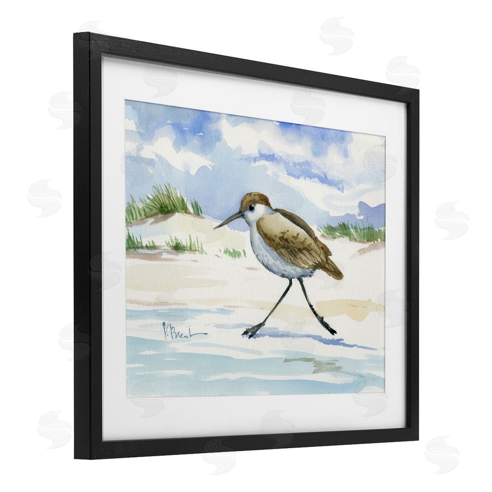 Paul Brent Inlet Beach Sandpiper Running Black Framed Print Under Glass Wall Art