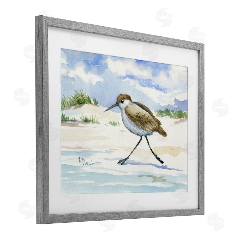 Paul Brent Inlet Beach Sandpiper Running Gray Framed Print Under Glass Wall Art